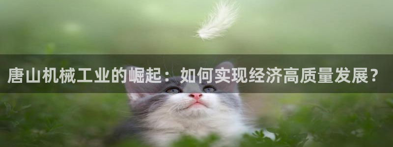 万事达娱乐登录