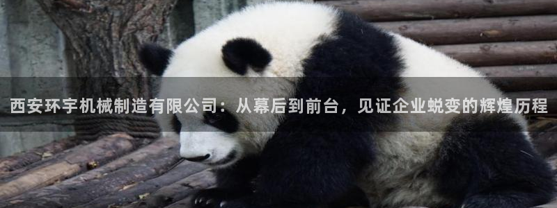 万事娱乐非同凡享