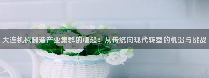 娱乐万事屋张宇