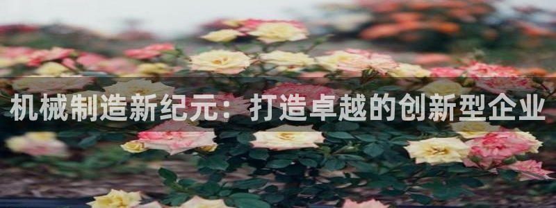 万事娱乐发展历程