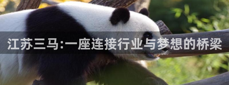 万事娱乐下载